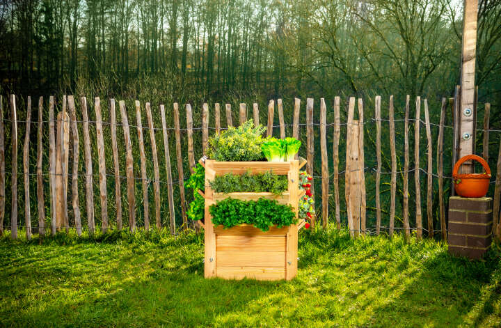 WESTMANN Hochbeet Premium